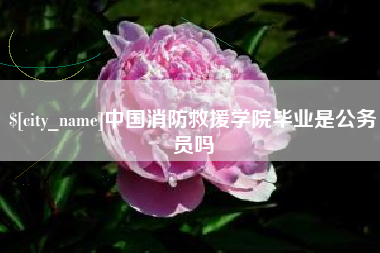 海南中国消防救援学院毕业是公务员吗