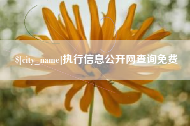 海南执行信息公开网查询免费