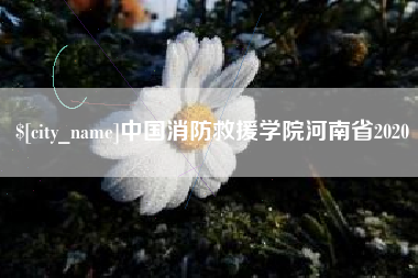 海南中国消防救援学院河南省2020